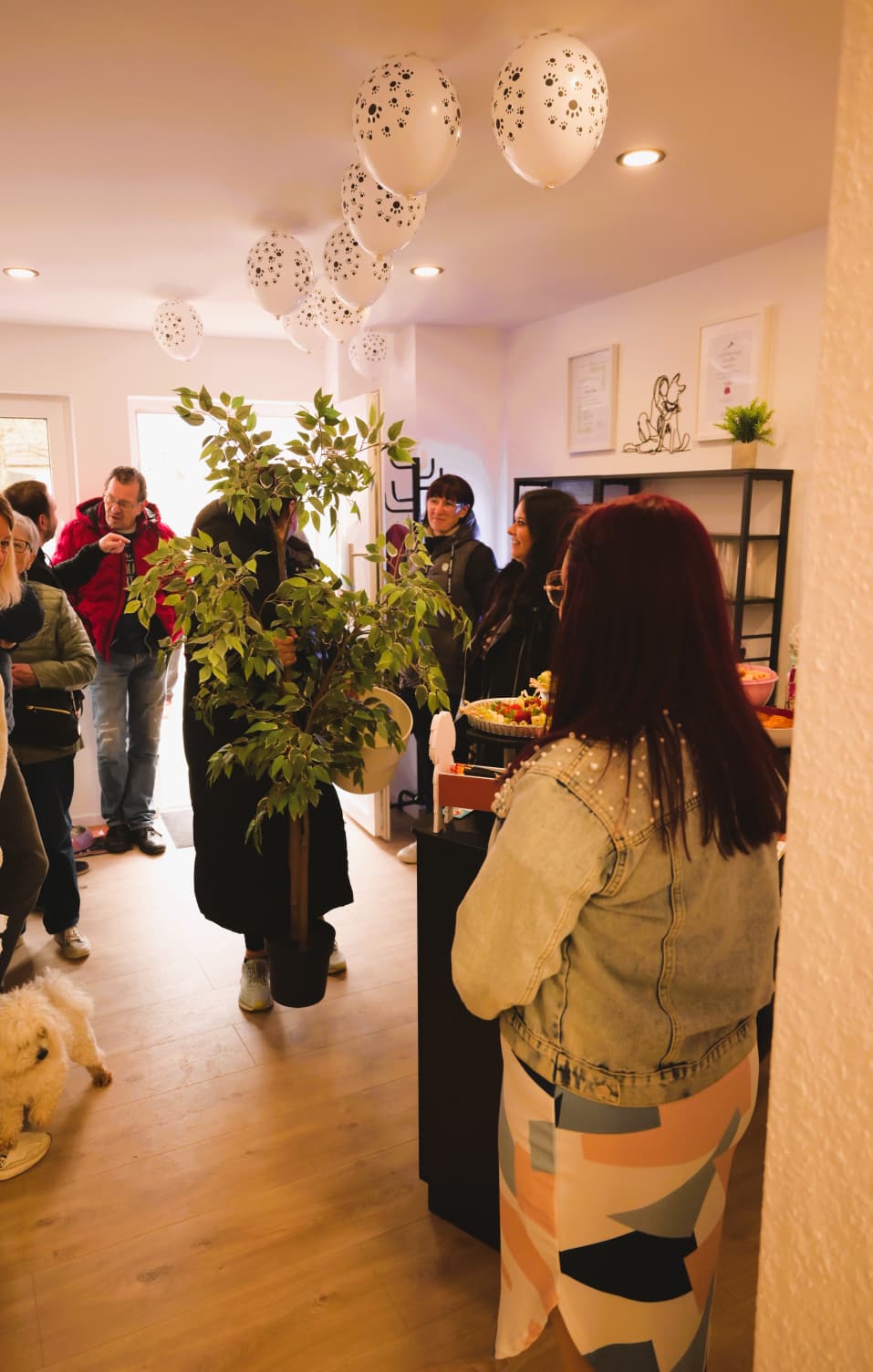 photo 2026 04 11 22 50 25