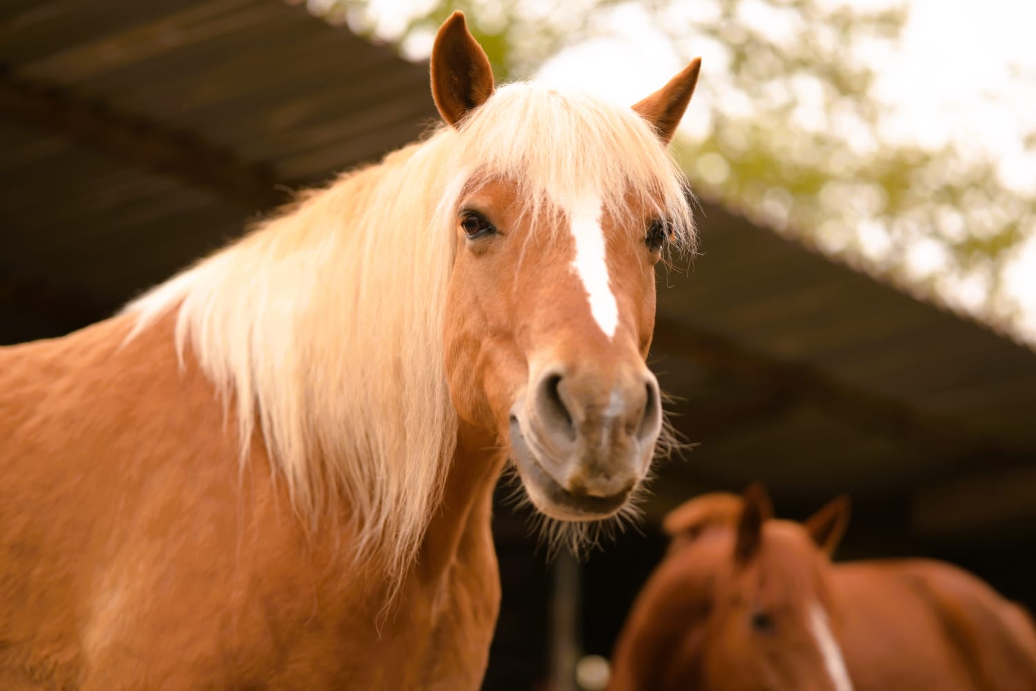 photo 2026 04 11 22 50 32