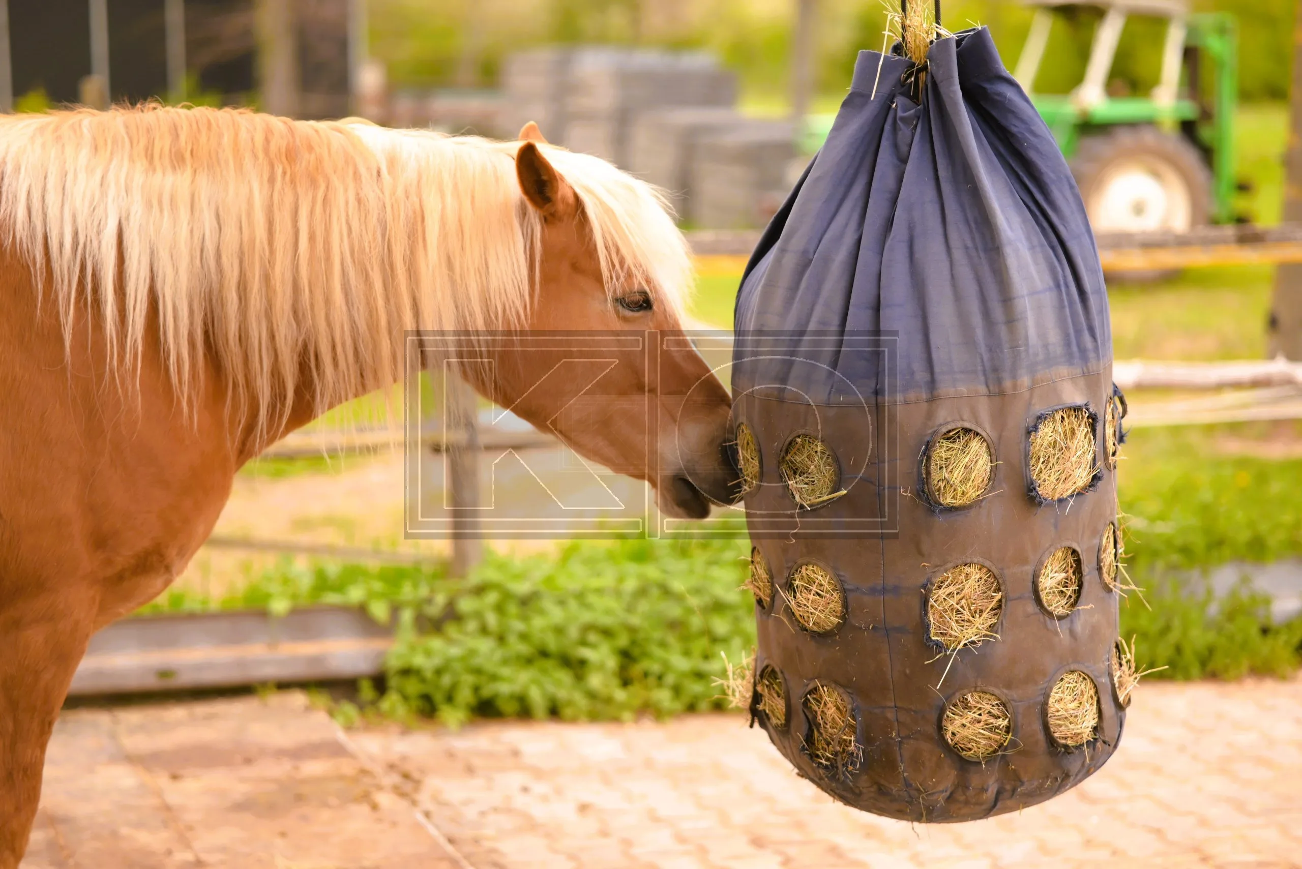 Natürliche Tierfotografie Heddesheim