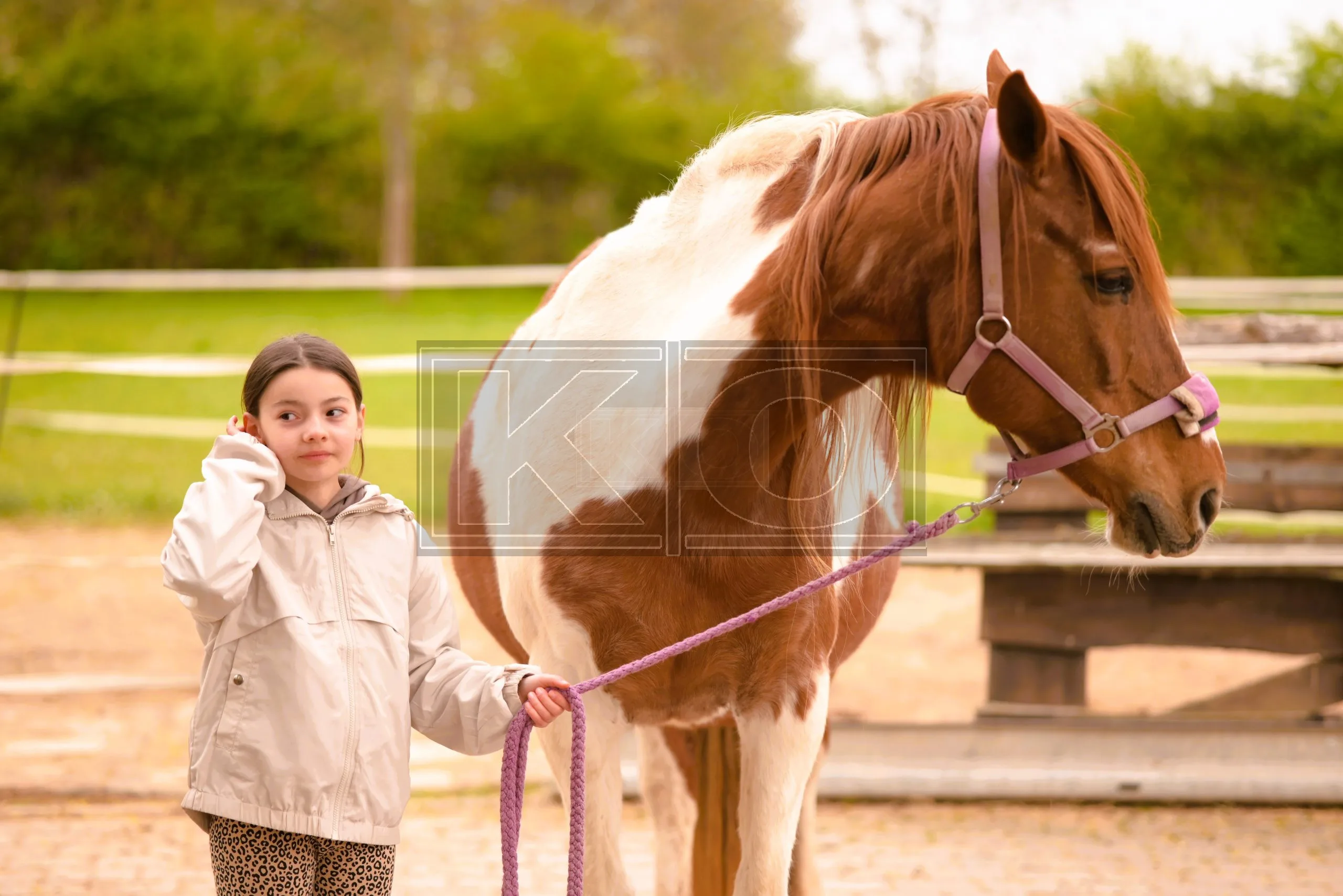 Einfühlsame Tierfotografie Heddesheim